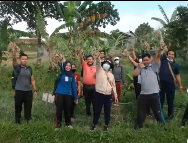 Distan Denpasar Panen Bawang Merah di Subak Sembung