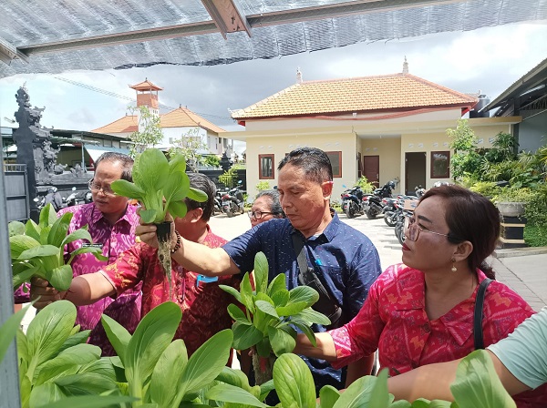 Desa Sidakarya Panen Perdana Program Padat Karya Tunai Nabati