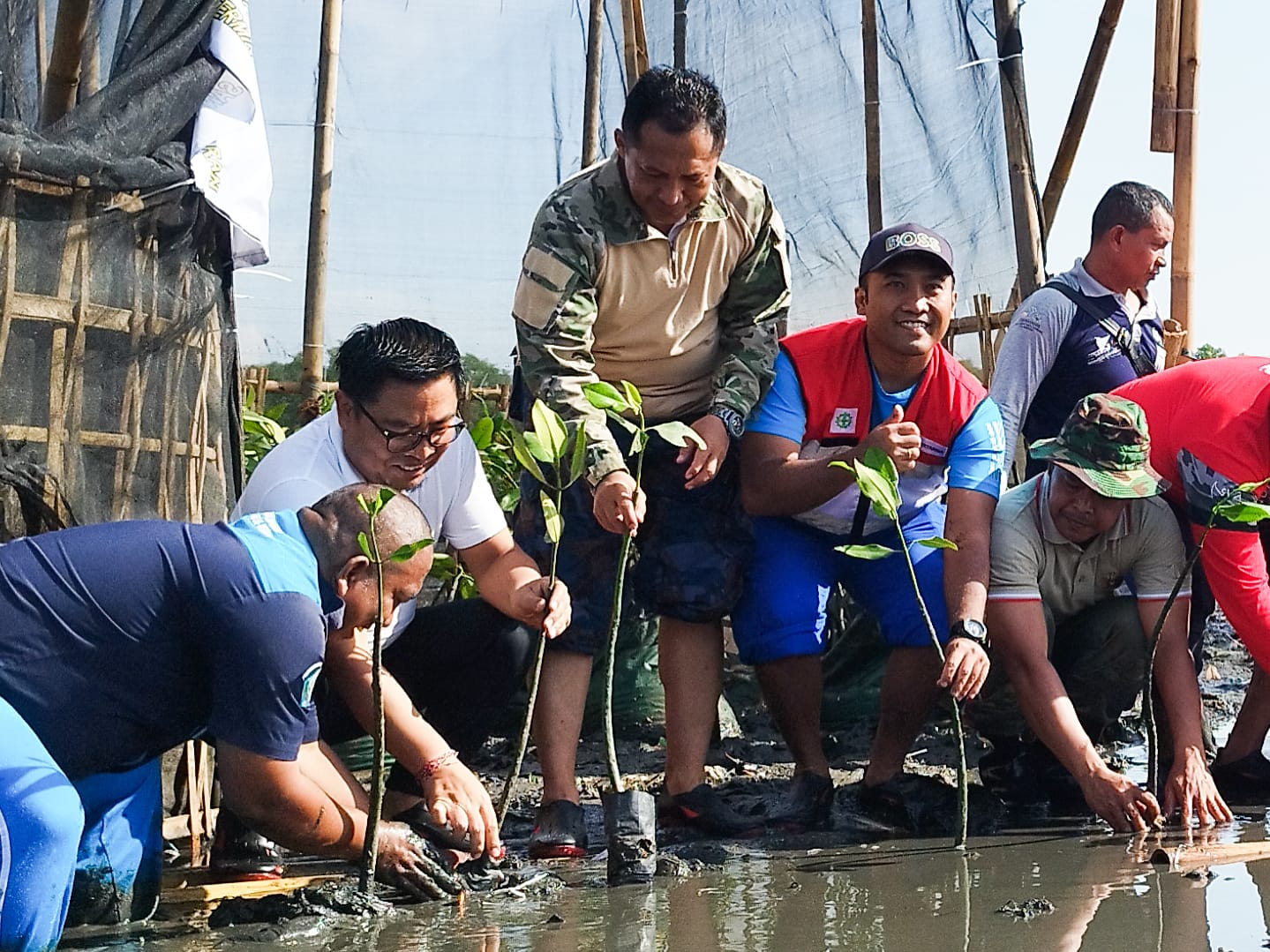 Ajak Masyarakat Lestarikan Hutan Mangrove, Wawali Arya Wibawa bersama Forkopimda Tanam 2000 Bibit Mangrove. 