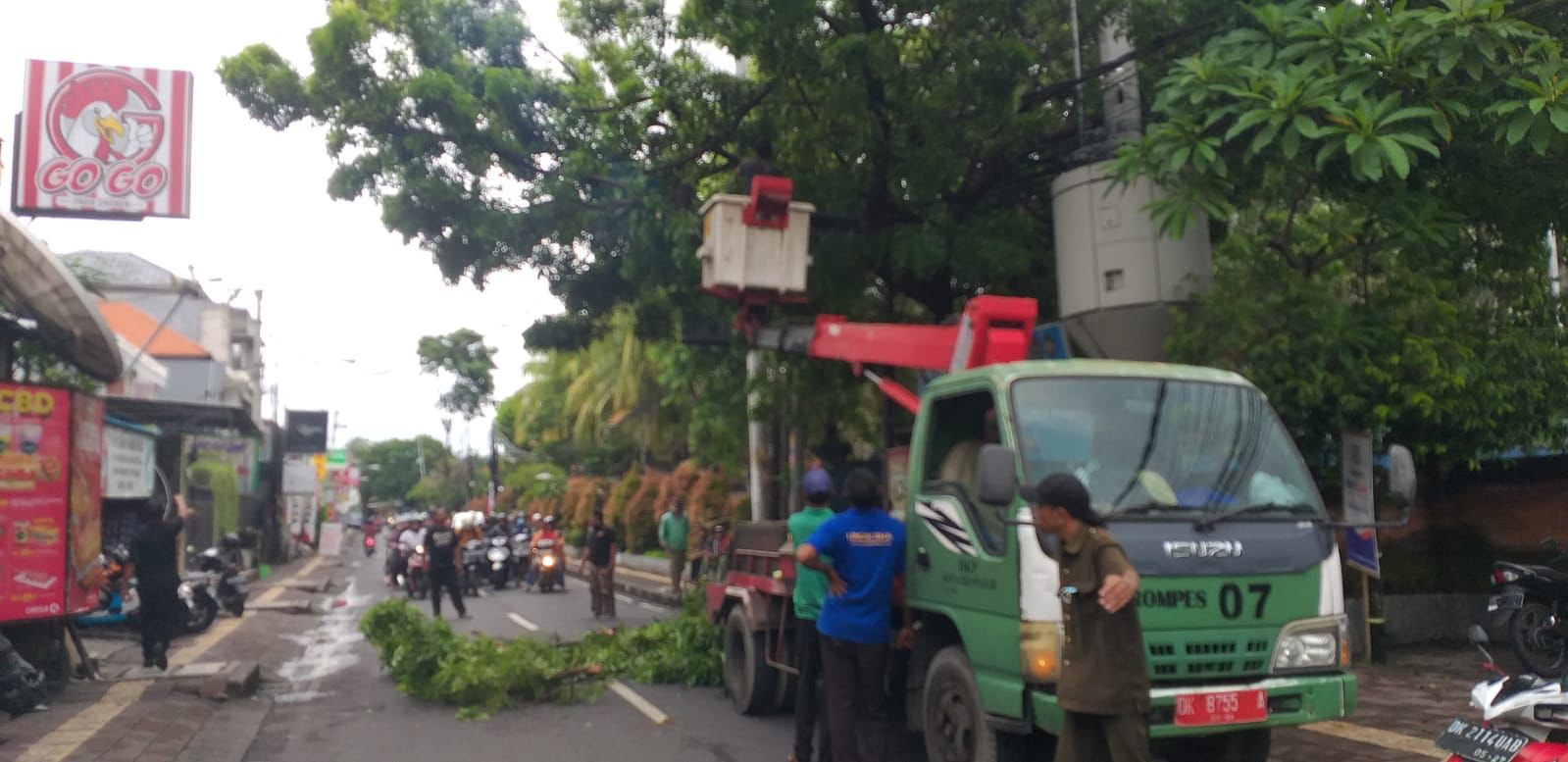 Cuaca Ekstrim, DLHK Denpasar Intensifkan Perompesan Antisipasi Pohon Tumbang