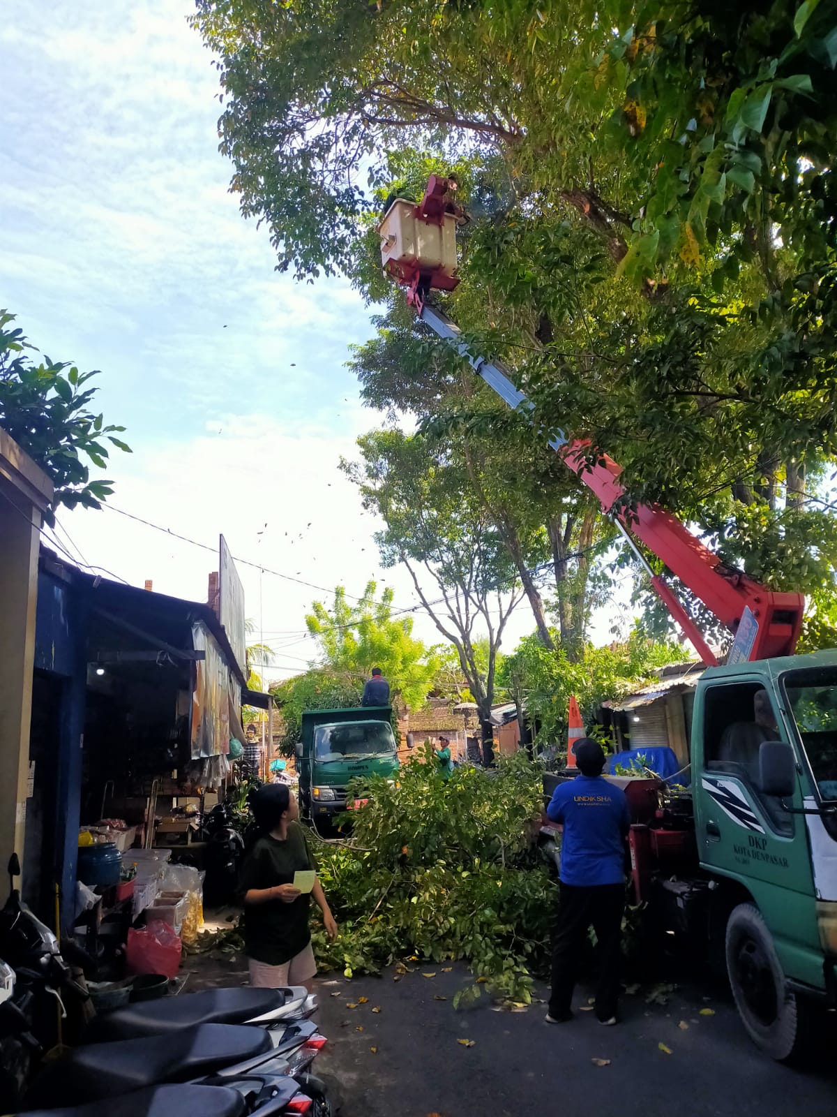 DLHK Denpasaar Rutin Intensifkan Perompesan, Antisipasi Pohon Tumbang 