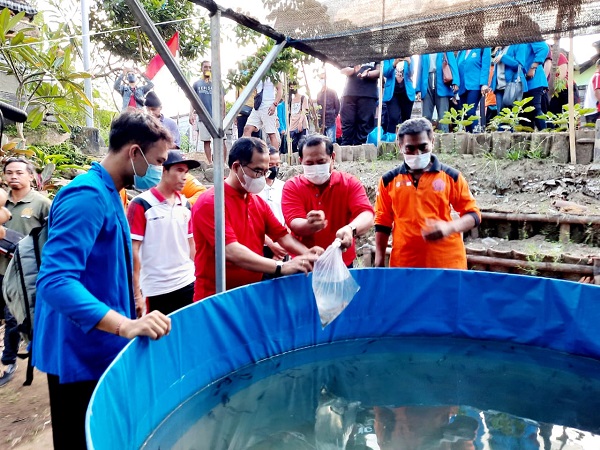 Program Padat Karya Berbasis Hewani Desa Sumerta Kelod Tebar 10 Ribu Bibit Ikan Lele.