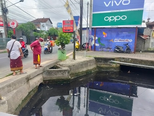 Cegah Pencemaran Sungai Camat Denpasar Selatan Sidak Limbah