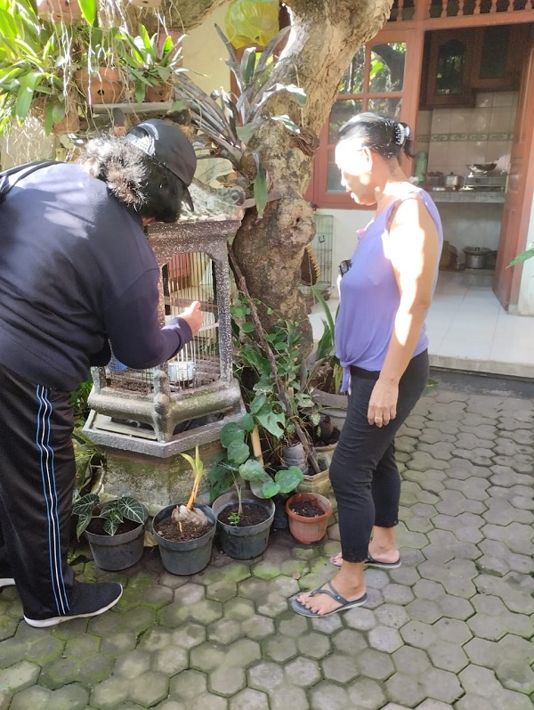 Cegah DBD, Pemkot Denpasar Galakkan PSN 3 M Plus.