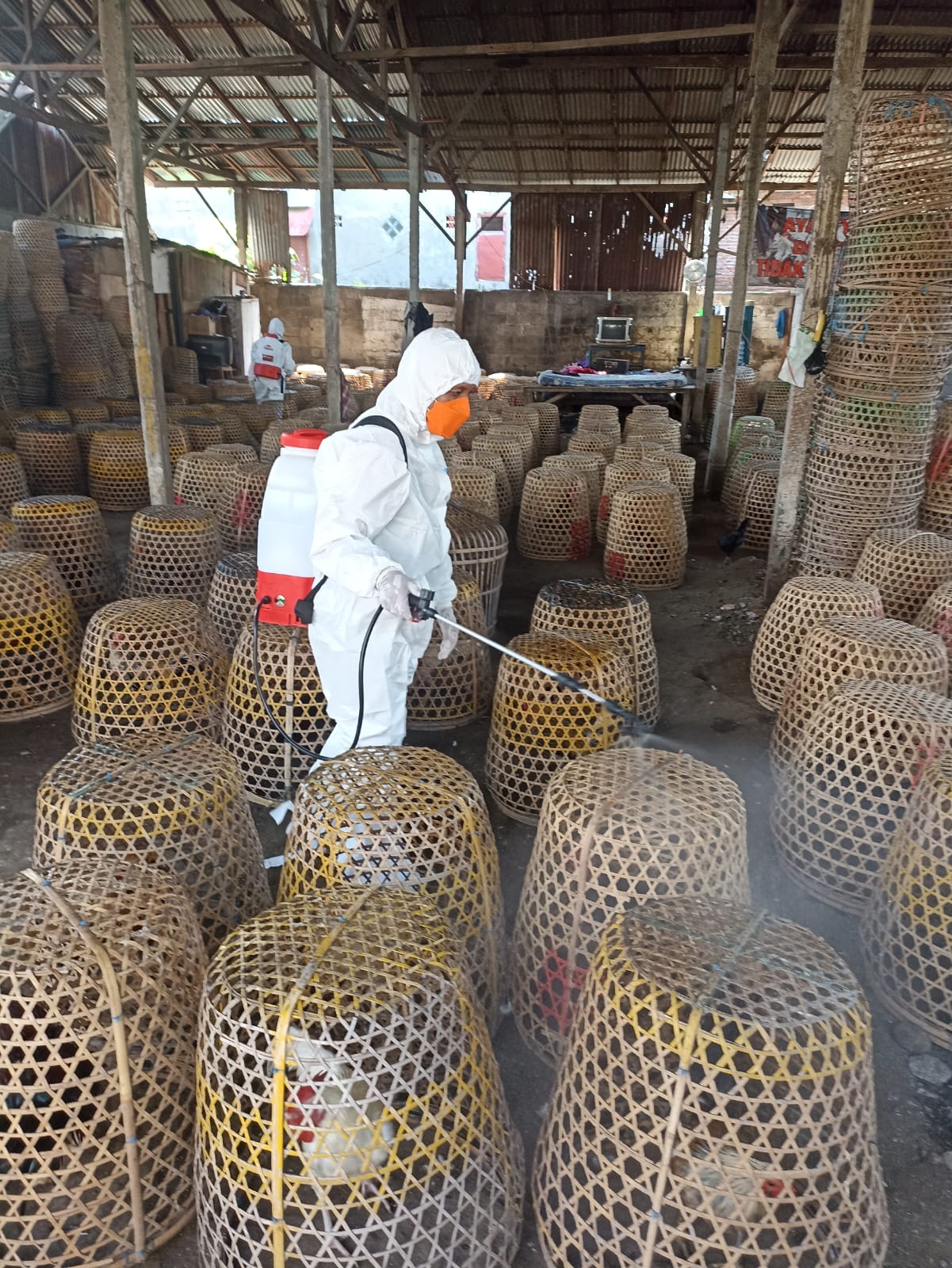 Antisipasi Penyebaran Flu Burung Clade Baru, Distan Kota Denpasar Gencarkan KIE dan Biosecurity Sasar Pasar Unggas
