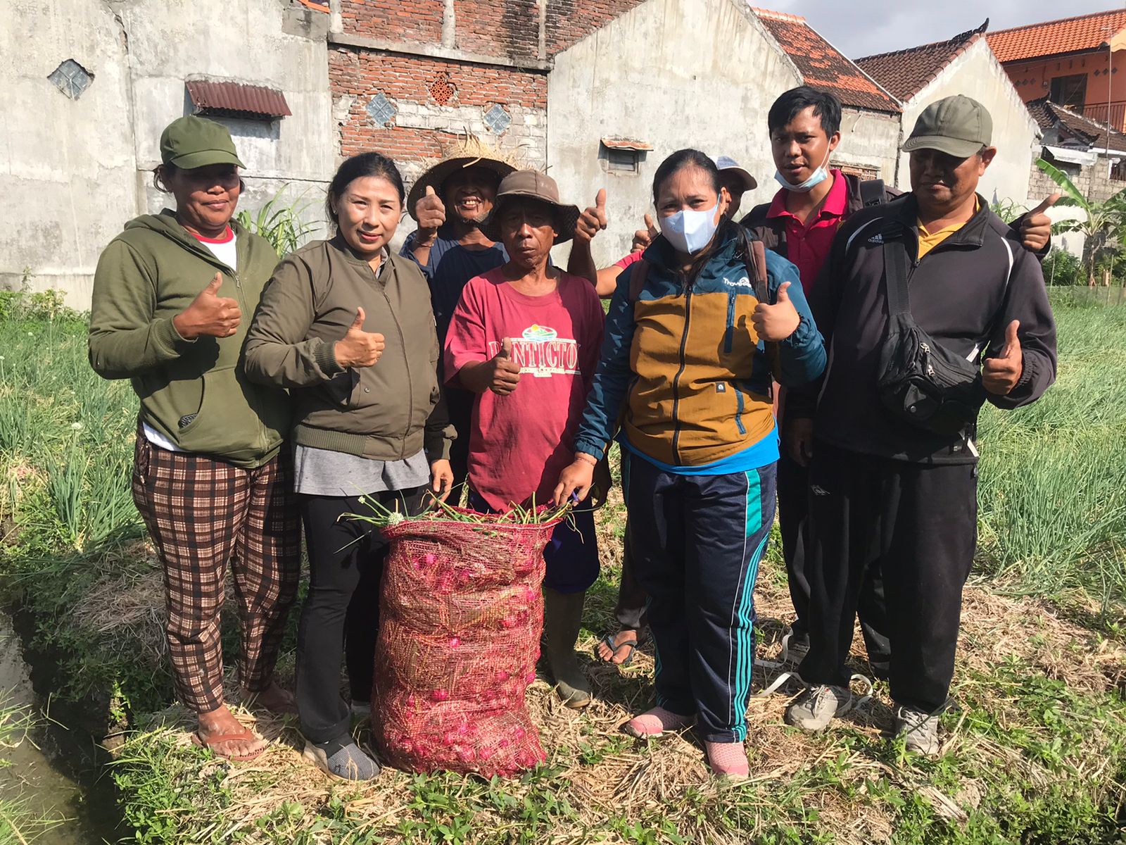 Pelaksanaan panen sebagai upaya berkelanjutan dalam pengendalian inflasi di wilayah Subak Panjer, Selasa (5/9).