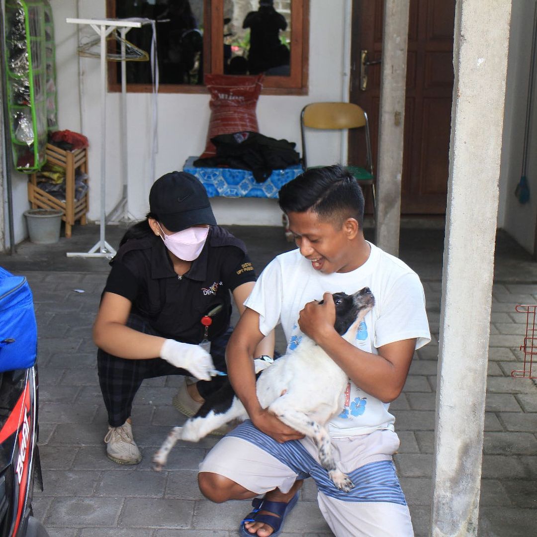 Distan Denpasar Genjot Vaksinasi Hewan Penular Rabies,
