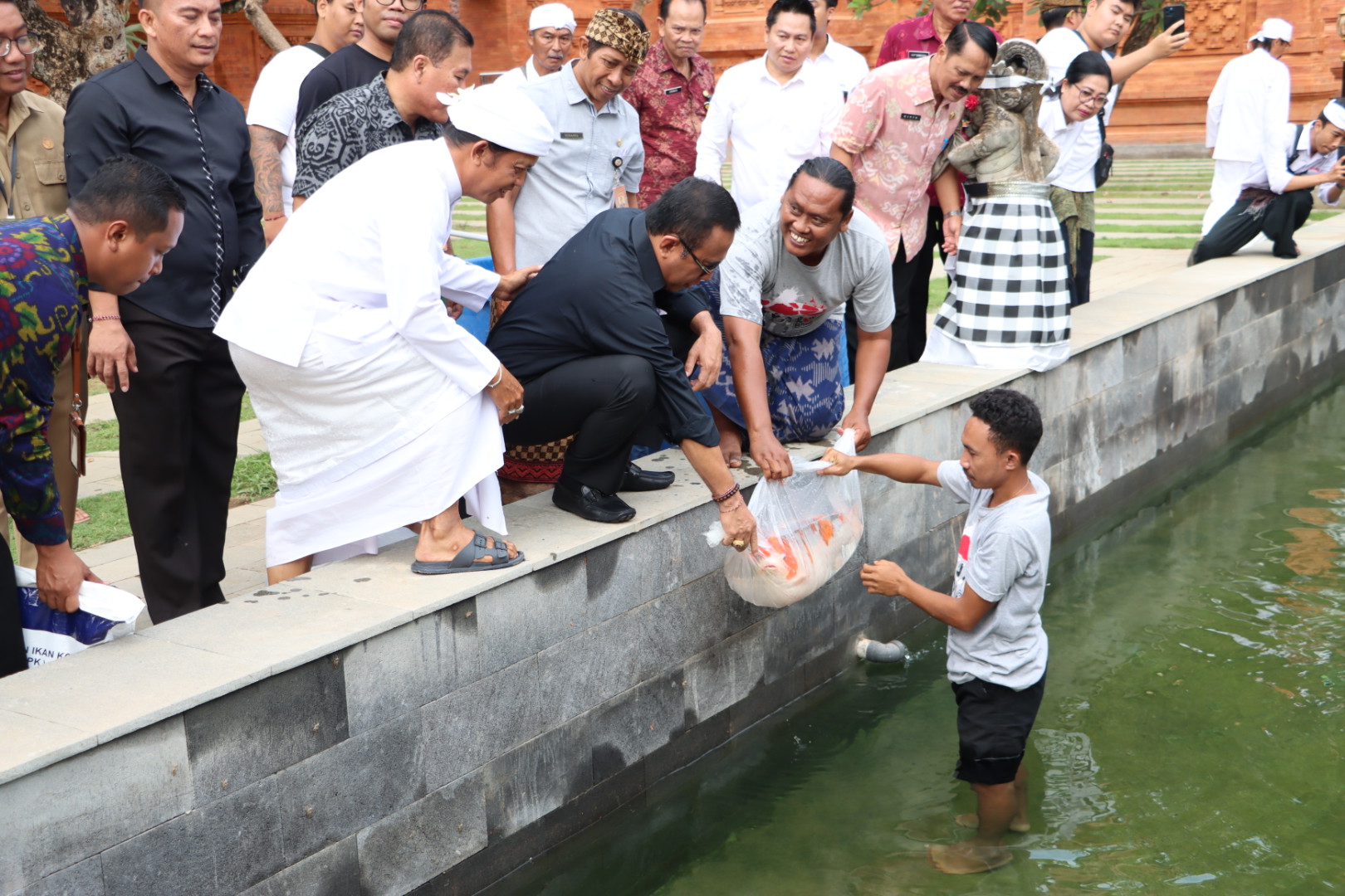 Menambah Keindahan Pura Agung Jagatnatha Walikota Jaya Negara dan Komunitas Ikan Koi Lepas 360 ekor Ikan Koi