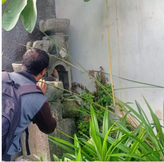 Atasi DBD Petugas Jumantik Kelurahan Kesiman Rutin Laksanakan PSN.