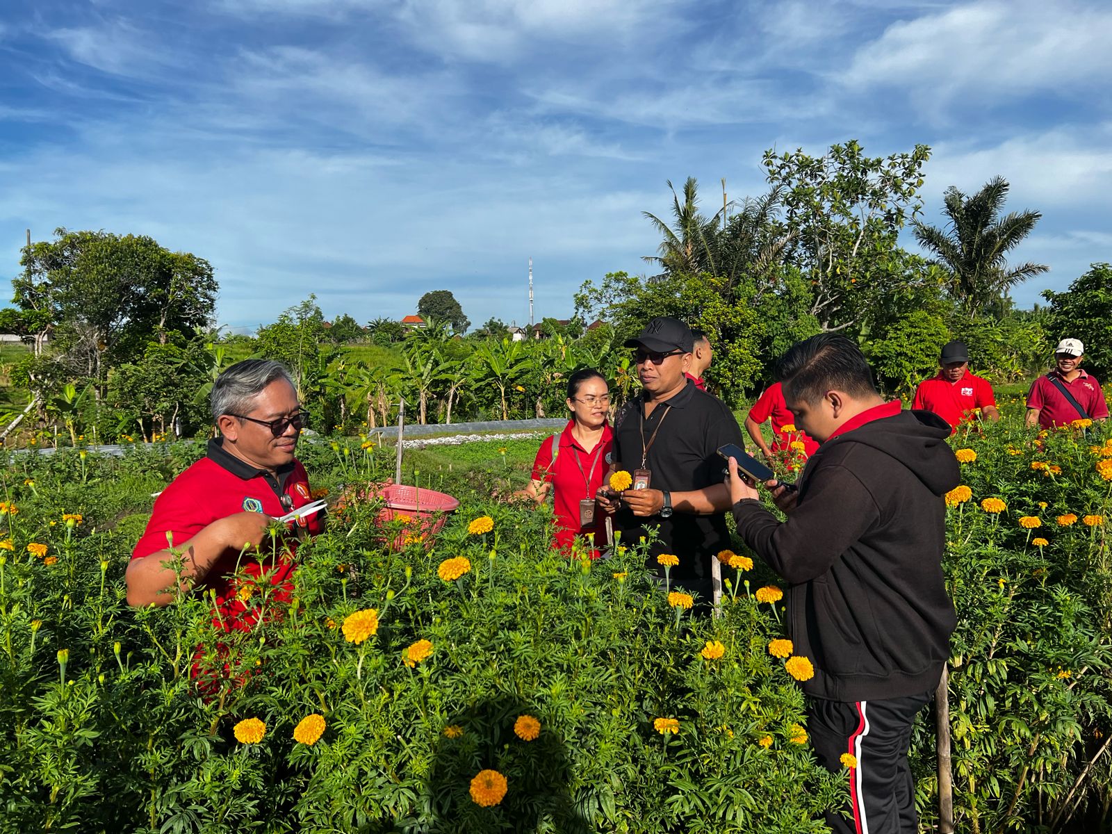 Tekan Laju Inflasi, Kelurahan Peguyangan Manfaatkan Lahan Subak Sembung Untuk Ditanami Bunga Gumitir