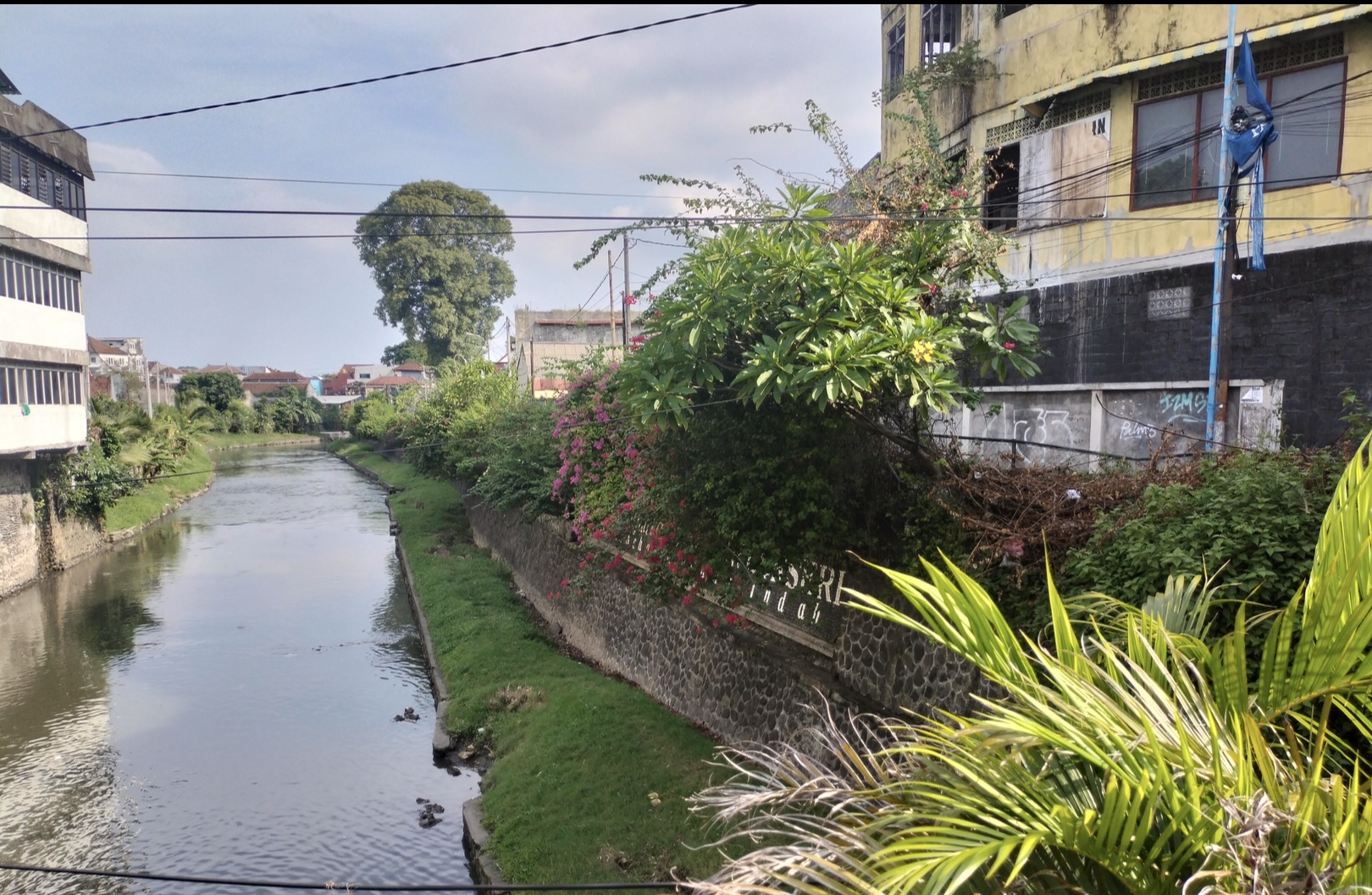 Pemkot Denpasar Rancang Penataan Lanjutan Tukad Badung, Jadi Sarana Edukasi dan Wisata.