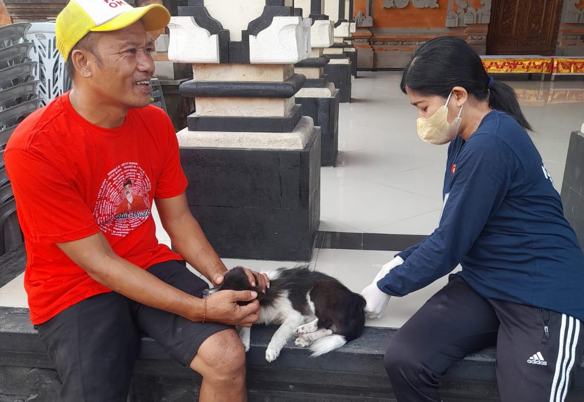Tahun 2024, Distan Denpasar Targetkan Vaksinasi Rabies Sasar 73.975 HPR