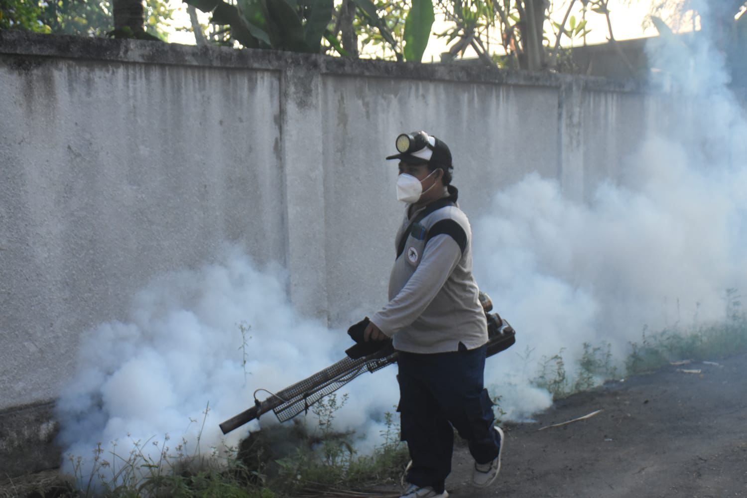 Cegah DBD, Pemkot Denpasar Gencarkan Pelaksanaan Fogging Sekda Alit Wiradana Tinjau Fogging Di Desa Sidakarya