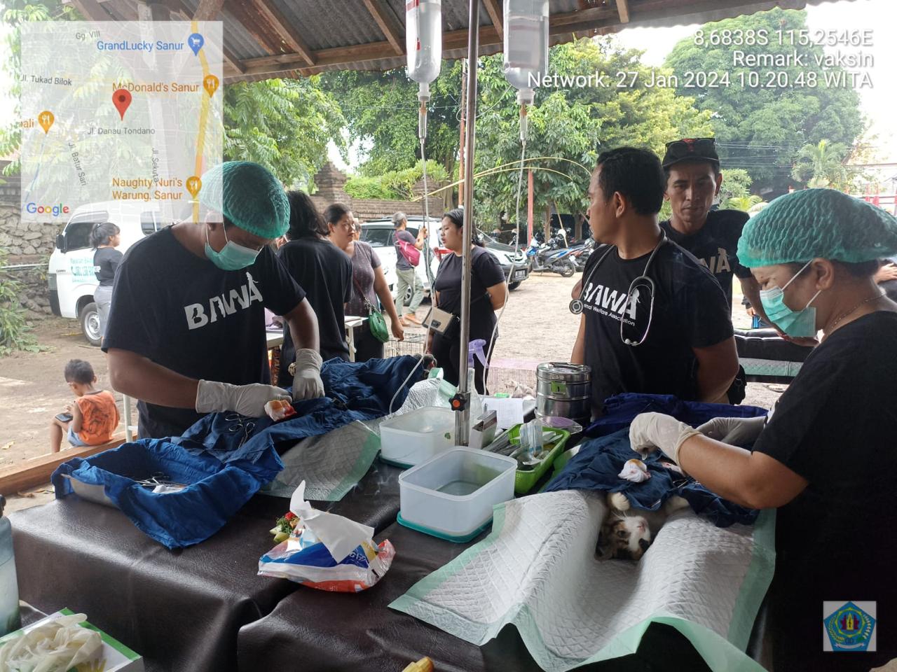 Bersinergi Dengan Yayasan BAWA, Dinas Pertanian Kota Denpasar Gelar Kegiatan Pengendalian Rabies di Kawasan Sanur