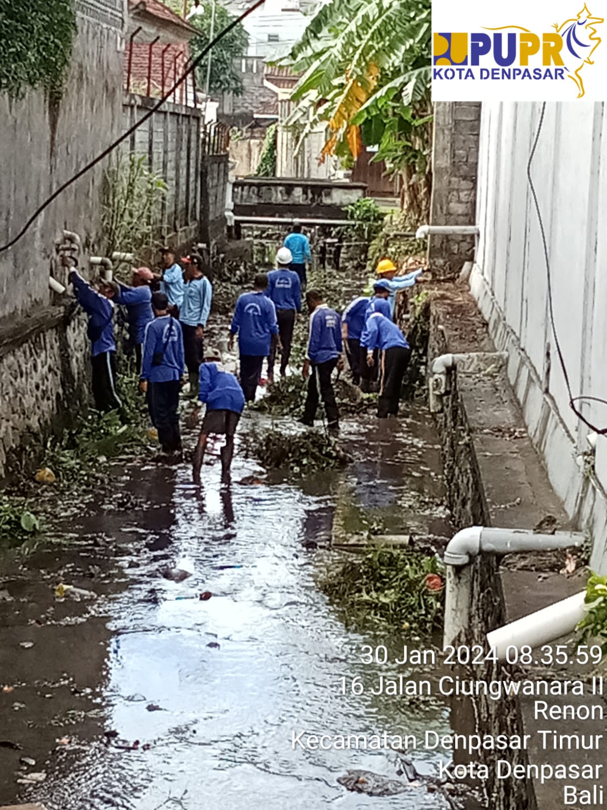 Antisipasi Banjir, PUPR Denpasar Gerak Cepat Bersihkan Sampah Rompes Pohon Liar di Sungai.