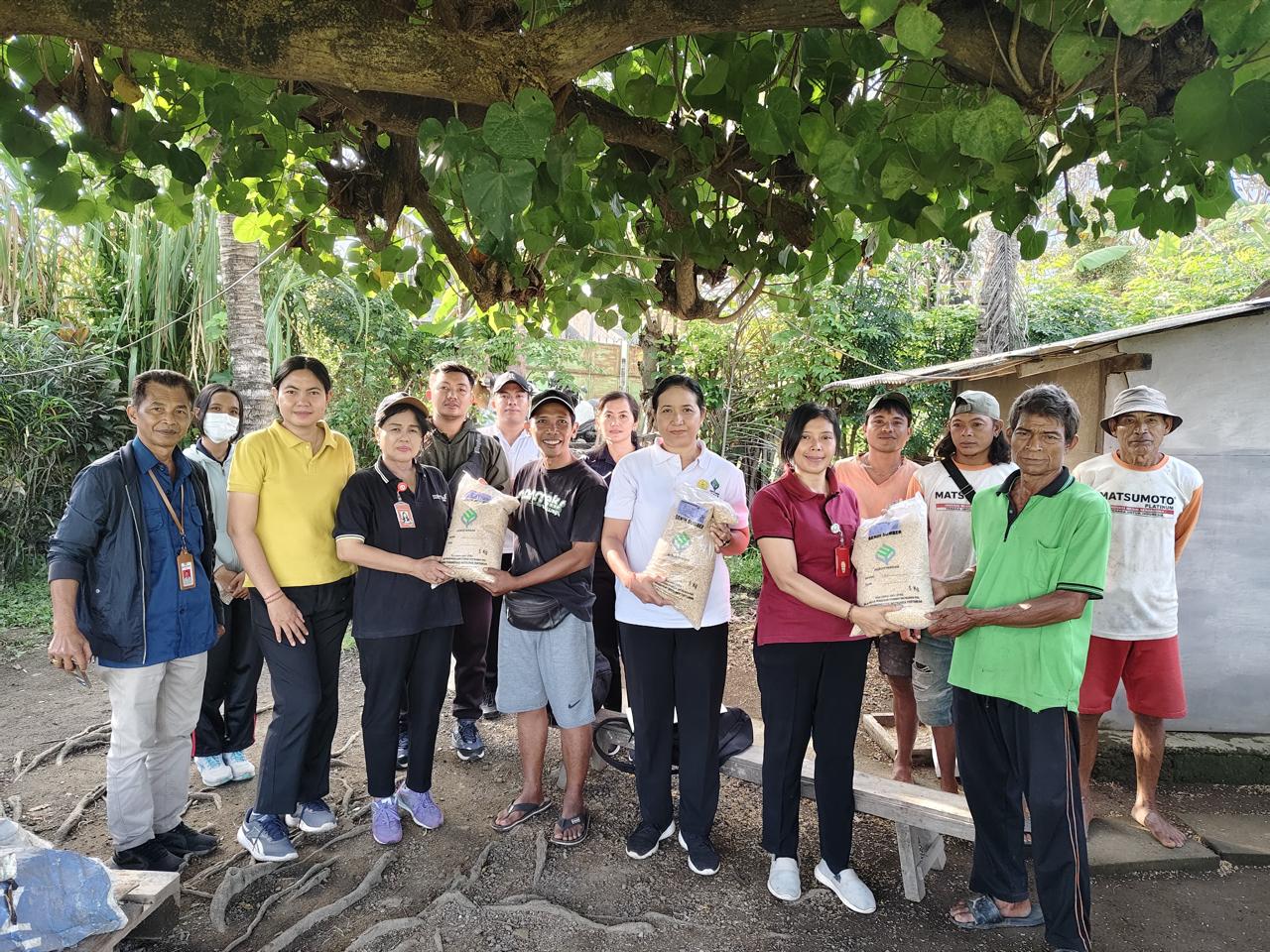 Distan Denpasar Gelar Demplot Padi Gogo di Subak Ubung, Wujudkan Ketahanan Pangan Berkelanjutan