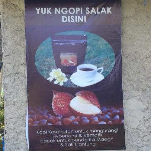 Snake Coffee Beans, Healthy for Hypertension and Rheumatism