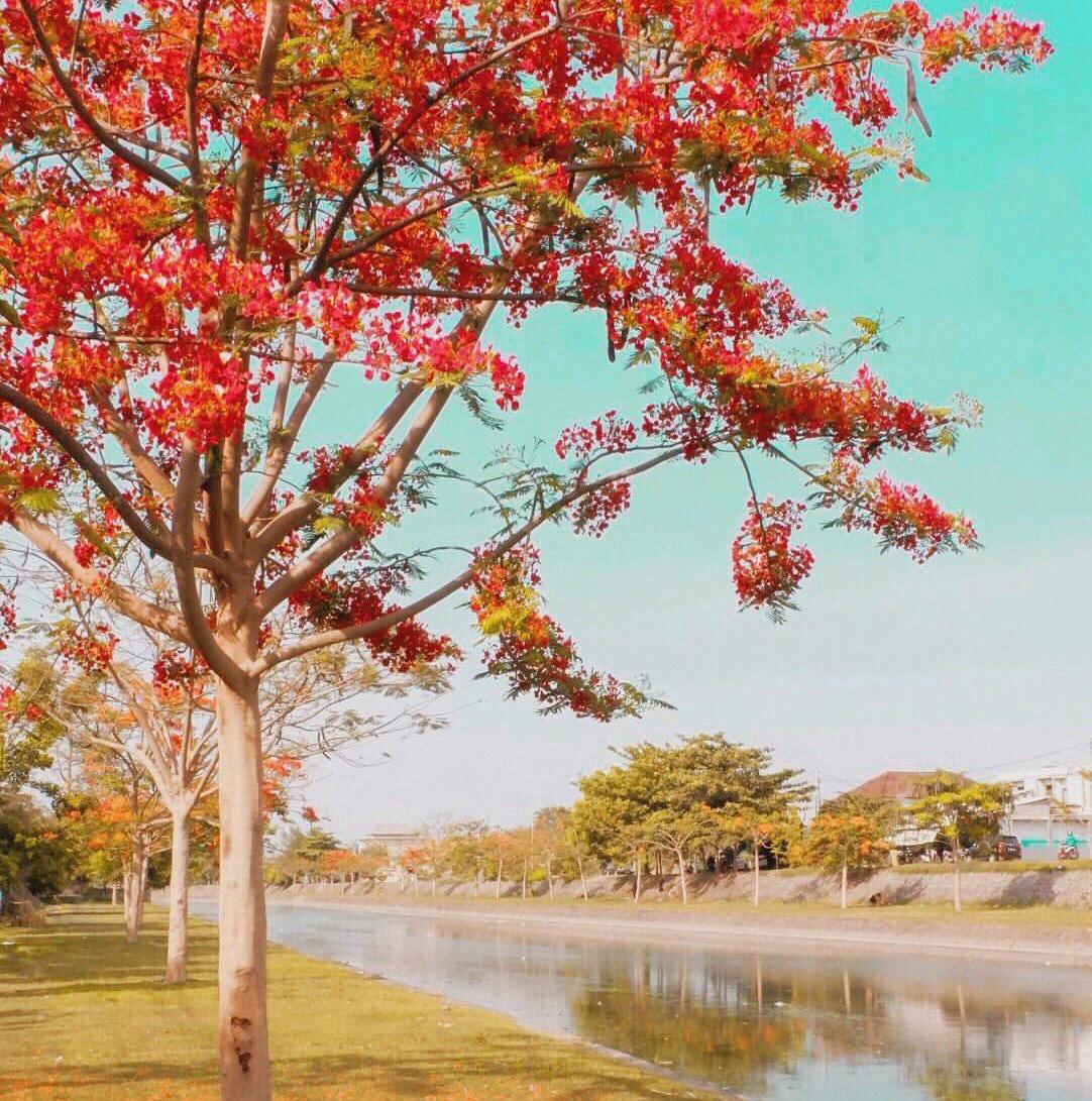 Gambar 1
