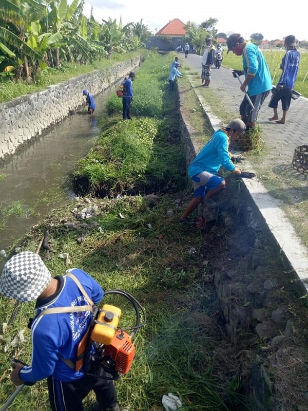Antisipasi Sedimentasi dan Cegah Banjir, PUPR Denpasar Gencarkan Pembersihan Sungai dan Saluran Air 
