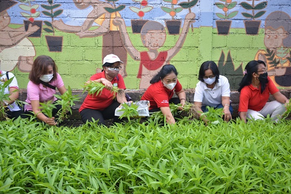 Antari Jaya Negara Panen Sayuran di Sumerta Kelod