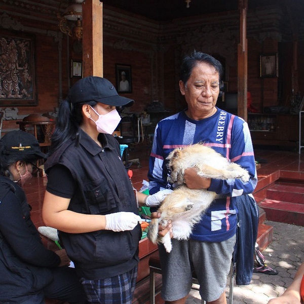 Distan Denpasar Genjot Vaksinasi Hewan Penular Rabies, Pelayanan Setiap Hari Kerja