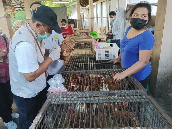 Antisipasi Penyebaran Virus AI, Distan Denpasar Cek Unggas di Pasar Kumbasari