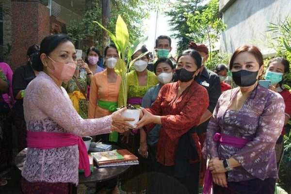 Dwijendra University “Hadiahi” PKK Kota Denpasar Bibit Tanaman