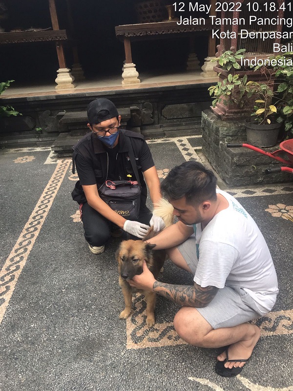 Distan Denpasar Genjot Vaksinasi Hewan Penular Rabies, Sasar Desa/Kelurahan, Sediakan 23.000 Vaksin.