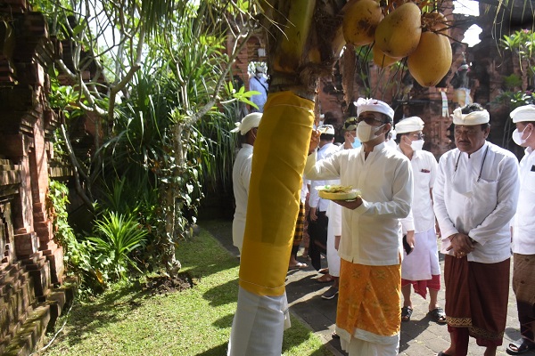 Perayaan Tumpek Wariga di Denpasar Jaya Negara Haturkan Sesaji Bubur Sumsum Dan Tanam Pohon Kelapa Upakara. 