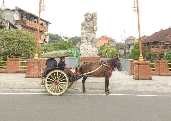 Bangkitkan Heritage City Tour, Pemkot Denpasar Siapkan 8 Dokar Gratis.