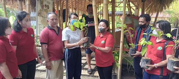 Maksimalkan Pemanfaatan Tukad Bindu Sebagai Lahan Konservasi Tanaman Yadnya, TP PKK Terima 20 Bibit Tanaman Sirih Putih Urat Pada