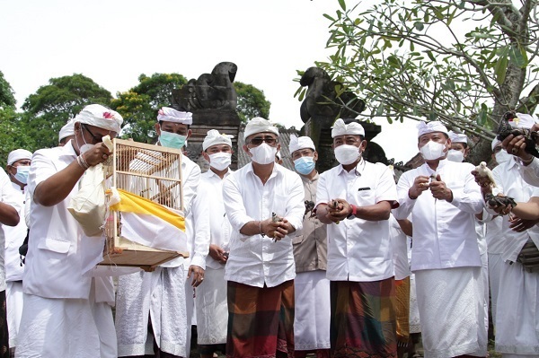 Peringatan Tumpek Uye Di Denpasar.Walikota Jaya Negara Laksanakan Persembahyangan dan Tebar 20 Ribu Benih Ikan, Pelepas Liaran Burung serta Ayam di Dam Ongan 