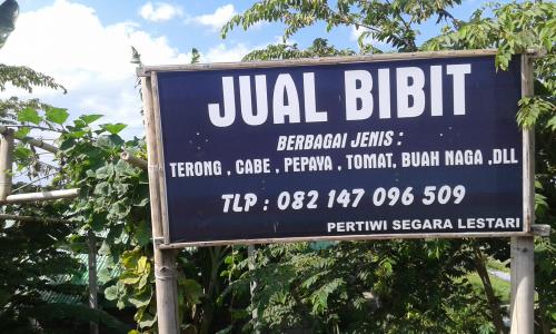Rumah Organik, Rumahnya Bibit Tanaman Buah, Sayur dan Bunga